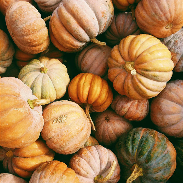 Why and How to Compost your Pumpkins