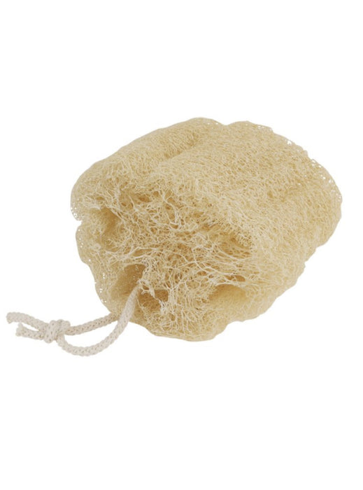 Loofah Body Sponge