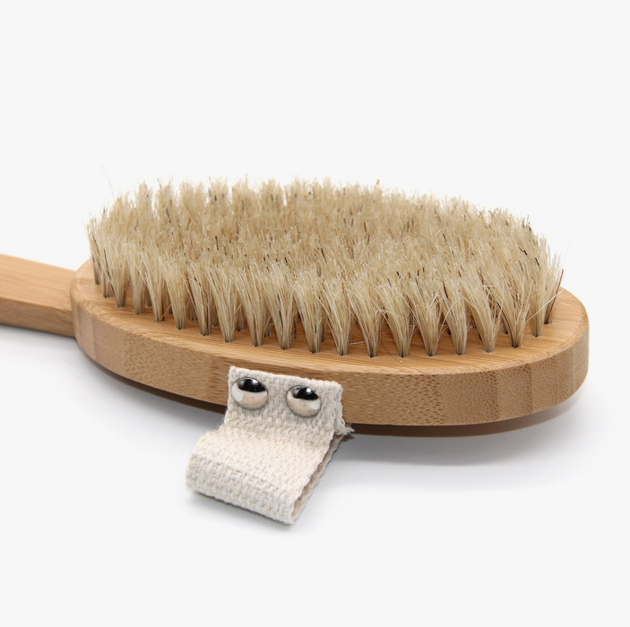 Dry and Wet Long Handle Body Brush
