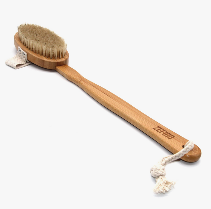 Dry and Wet Long Handle Body Brush