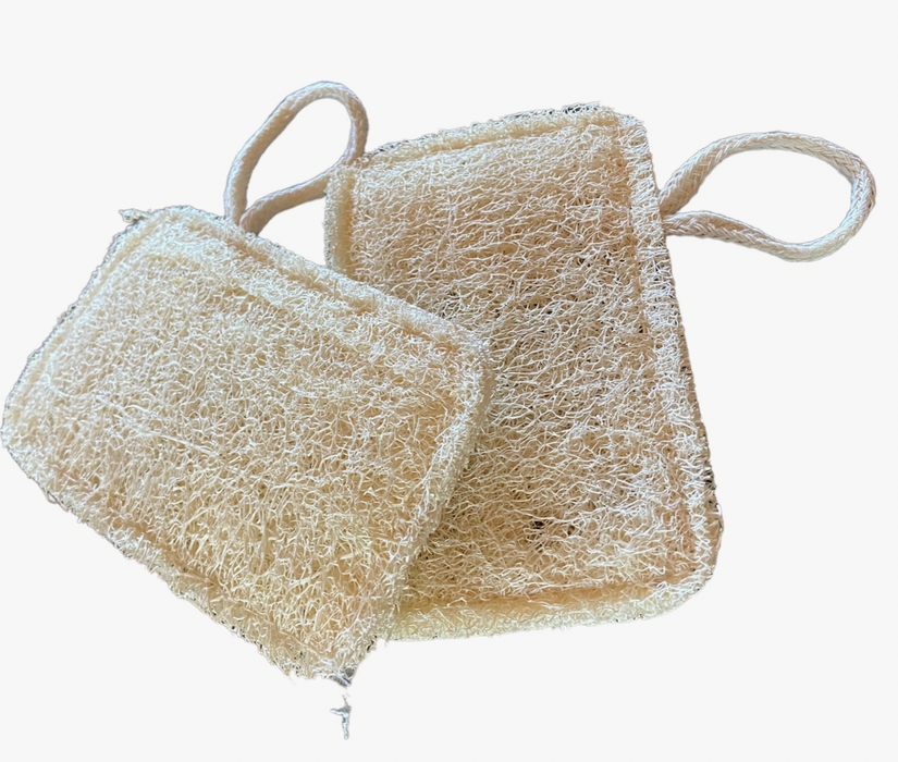 Natural Plant Based Dish Loofah with Hanging Strap