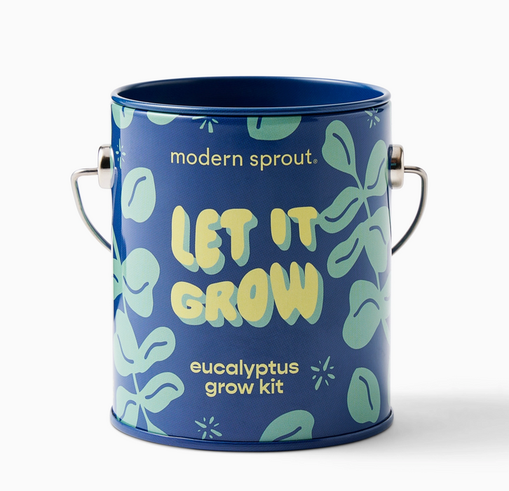 Holiday Complimentary Colors Grow Kits