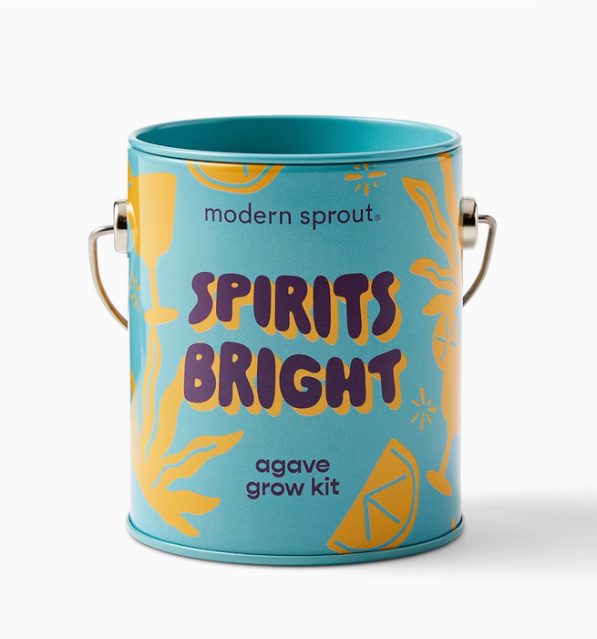 Holiday Complimentary Colors Grow Kits