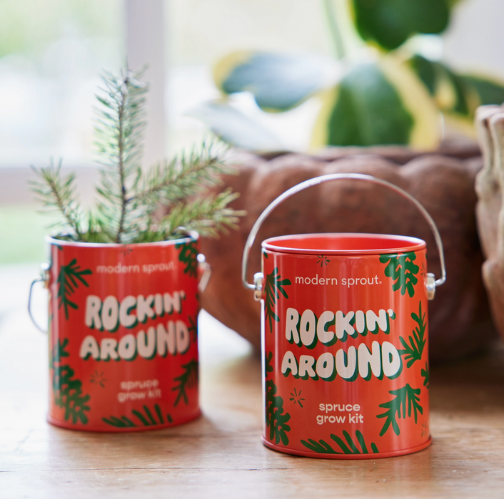 Holiday Complimentary Colors Grow Kits