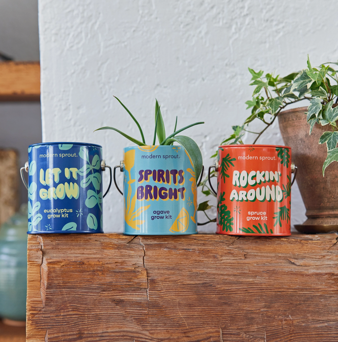 Holiday Complimentary Colors Grow Kits