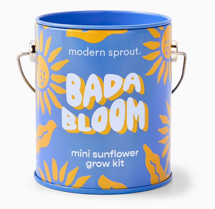 Holiday Complimentary Colors Grow Kits