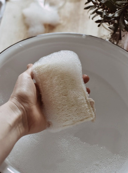 Natural Plant Based Dish Loofah with Hanging Strap