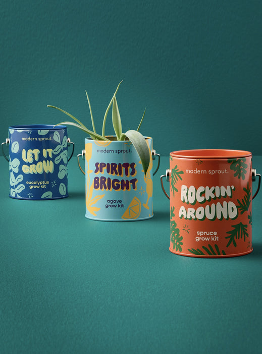 Holiday Complimentary Colors Grow Kits