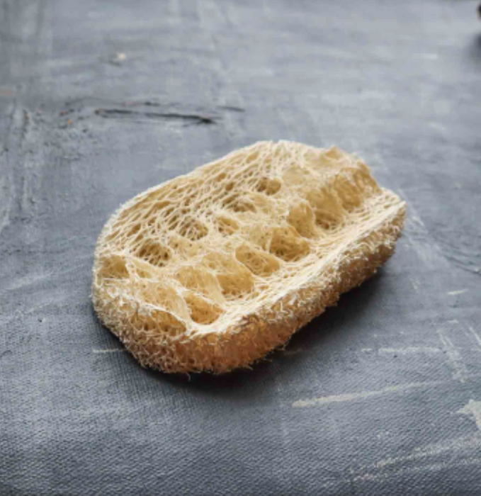 Biodegradable Loofah Dishwashing Sponge
