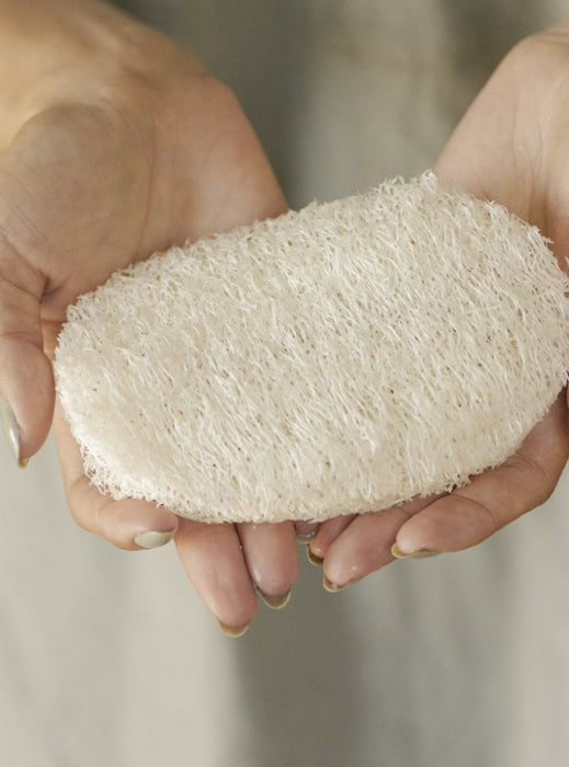Biodegradable Loofah Dishwashing Sponge